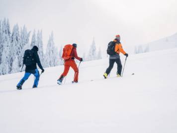 Ski alp resorts